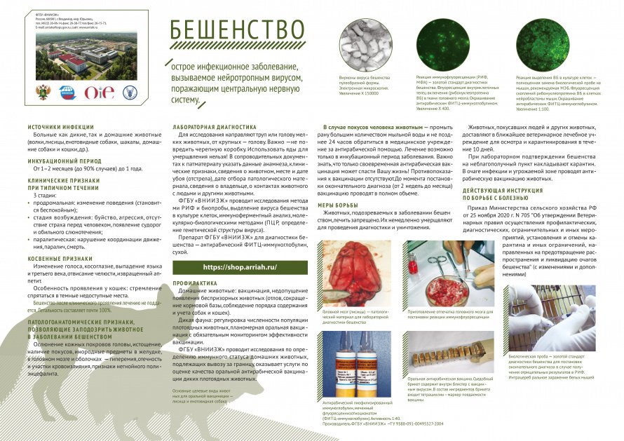 Бешенство