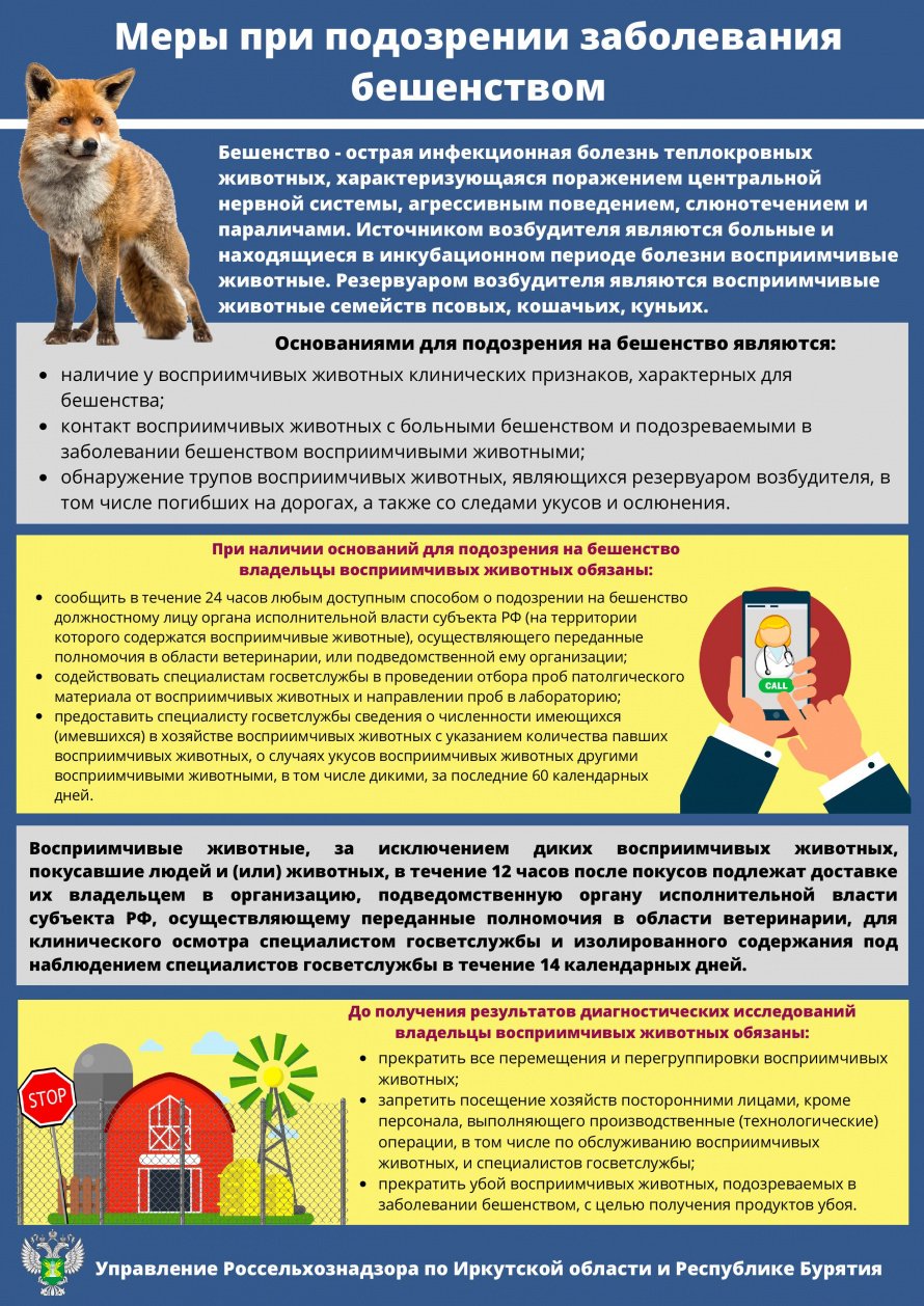Меры при подозрении заболевания бешенством