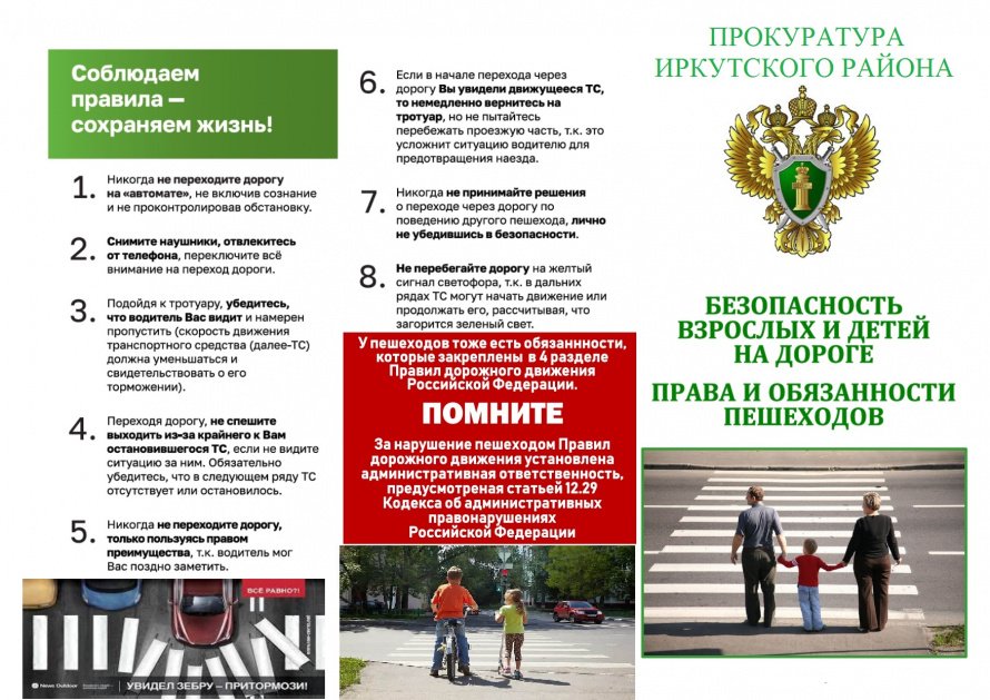 Безопасность взрослых и детей на дороге права и обязанности пешеходов