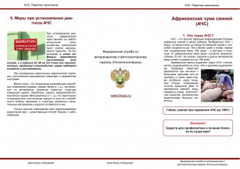 Африканская чума свиней (АЧС)