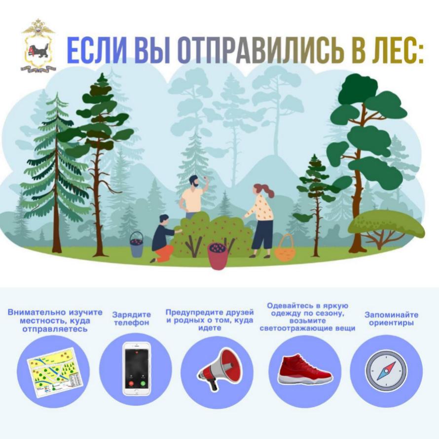 ⚡️ Устоявшаяся теплая погода располагает к началу сезона лесных «потеряшек»