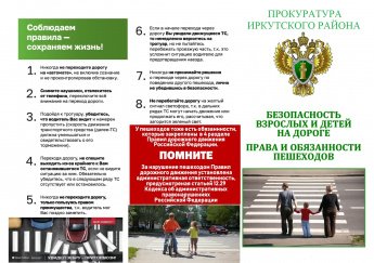 Безопасность взрослых и детей на дороге права и обязанности пешеходов