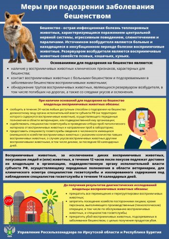 Меры при подозрении заболевания бешенством